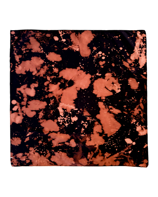 XL013