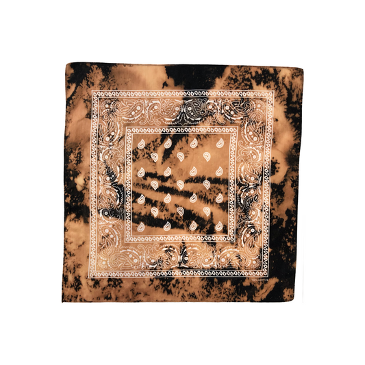X006